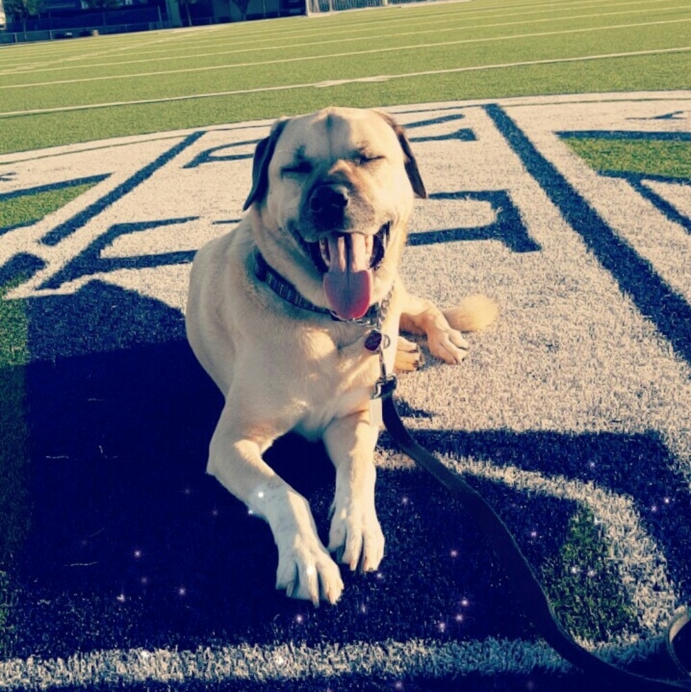 Meet your Posher, Eileen